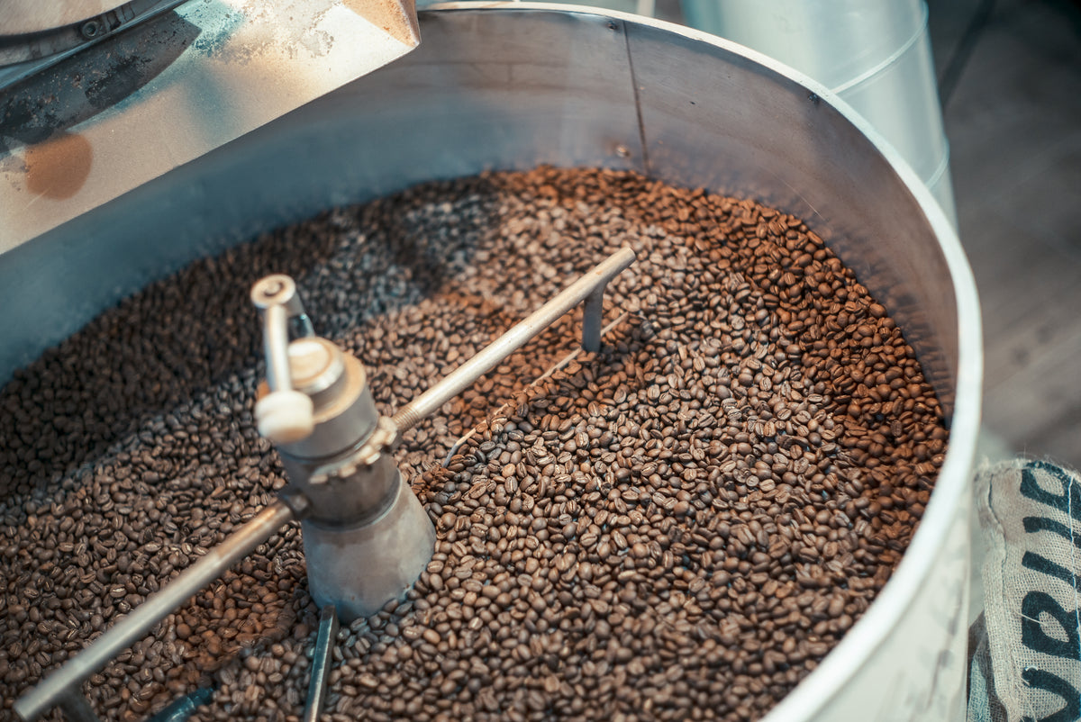 Frisch geröstete Kaffeebohnen in dem Kühlsieb einer Kaffeeröstmaschine.