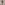 Westzipfel Espresso von Beans & Friends – Espresso mit nussigen und dunklen Schokoladennoten sowie feiner Crema