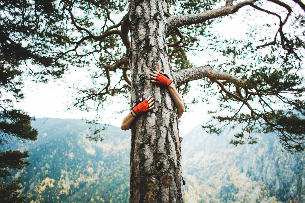 Person umarmt einen Baum in einem Wald. Symbolbild für Naturverbundenheit und Umweltschutz.
